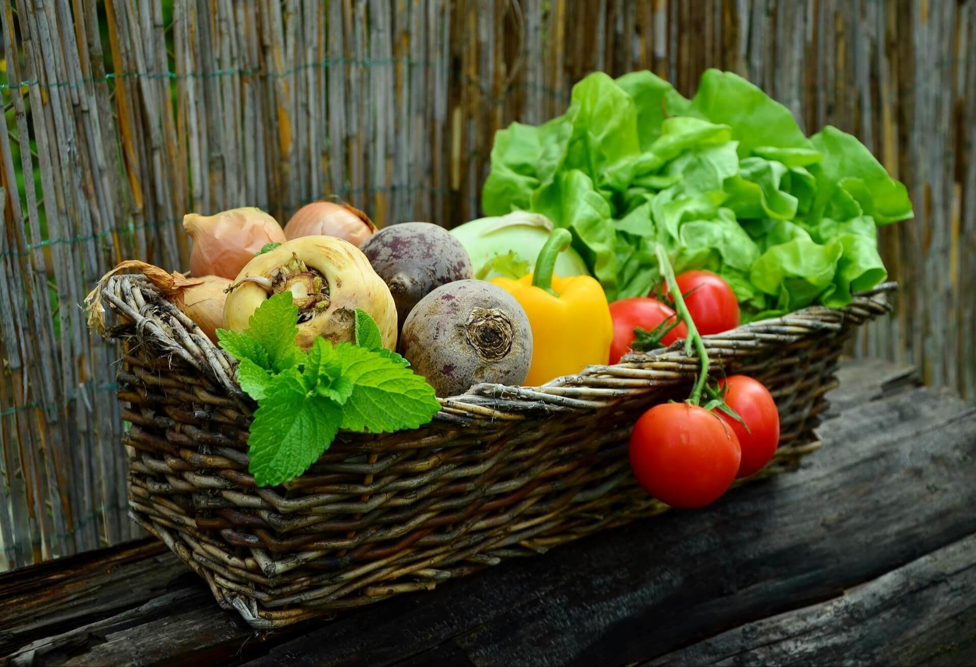 7 Easy Ways to Access Fresh Produce and Increase Local Food Security