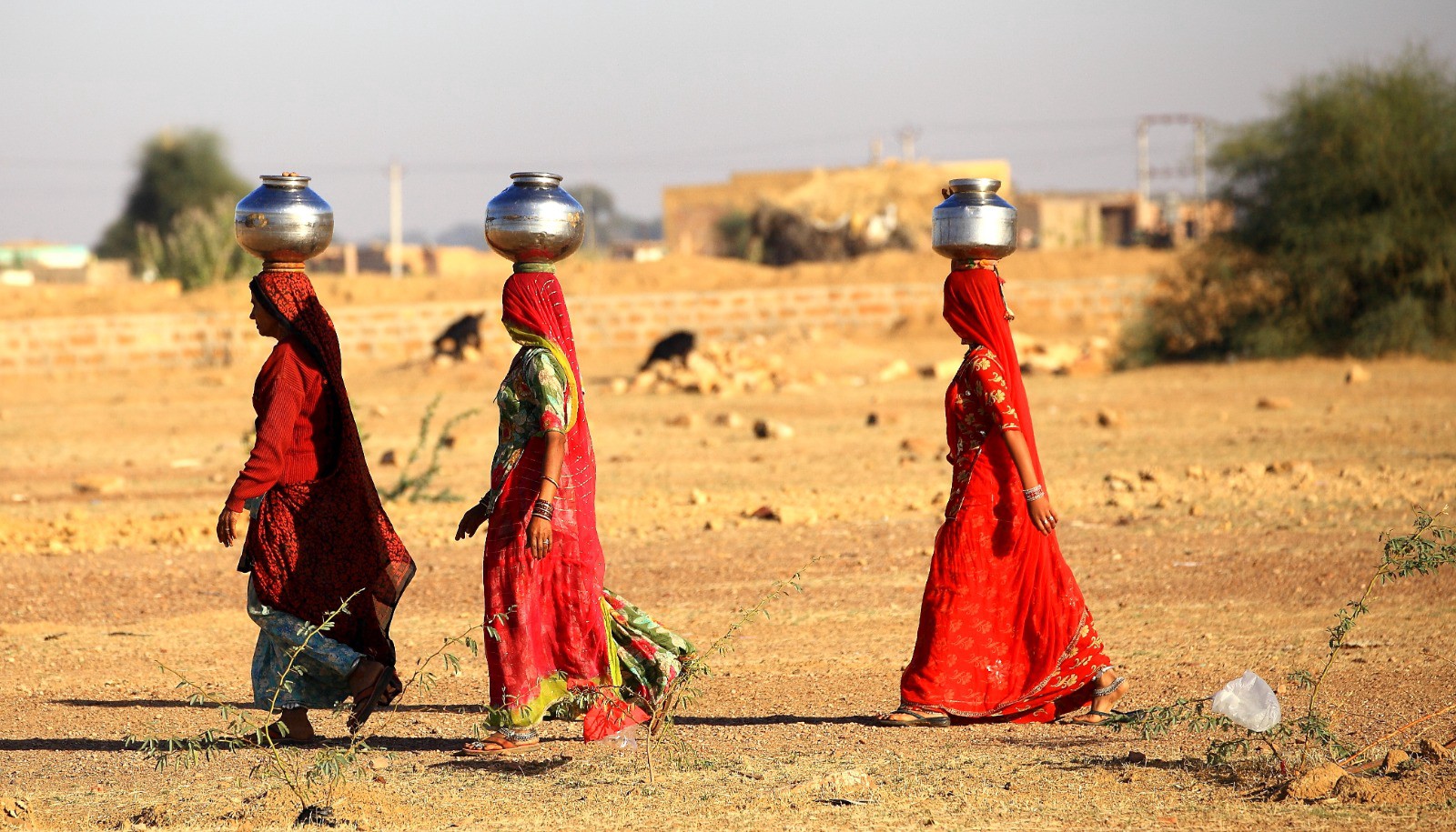 Water-bearing Women: More Than Mythology