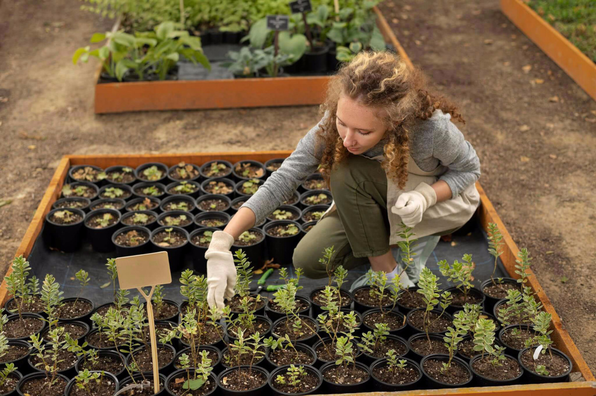 what is urban farming?